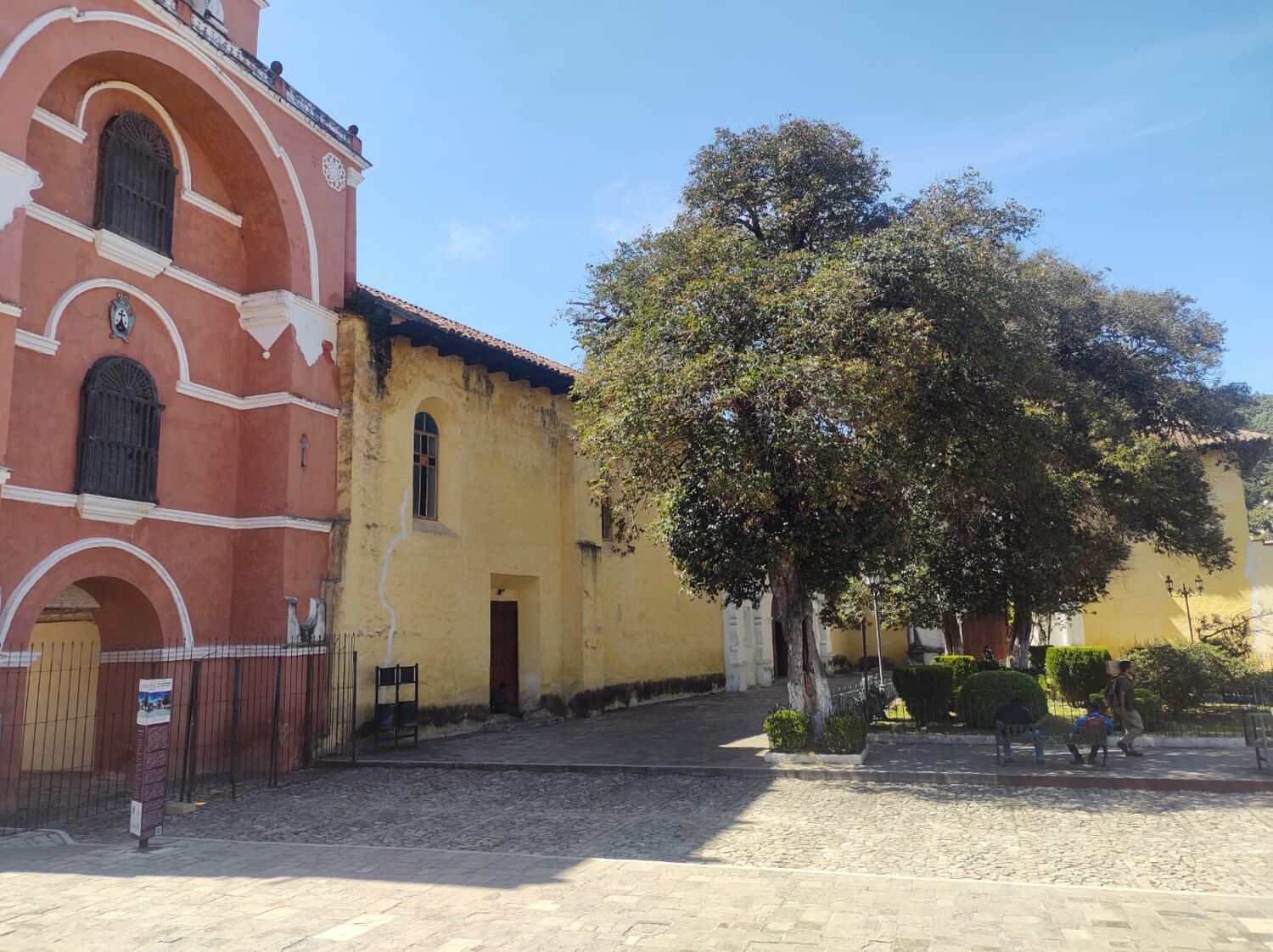 Vibrant green rainforest landscape